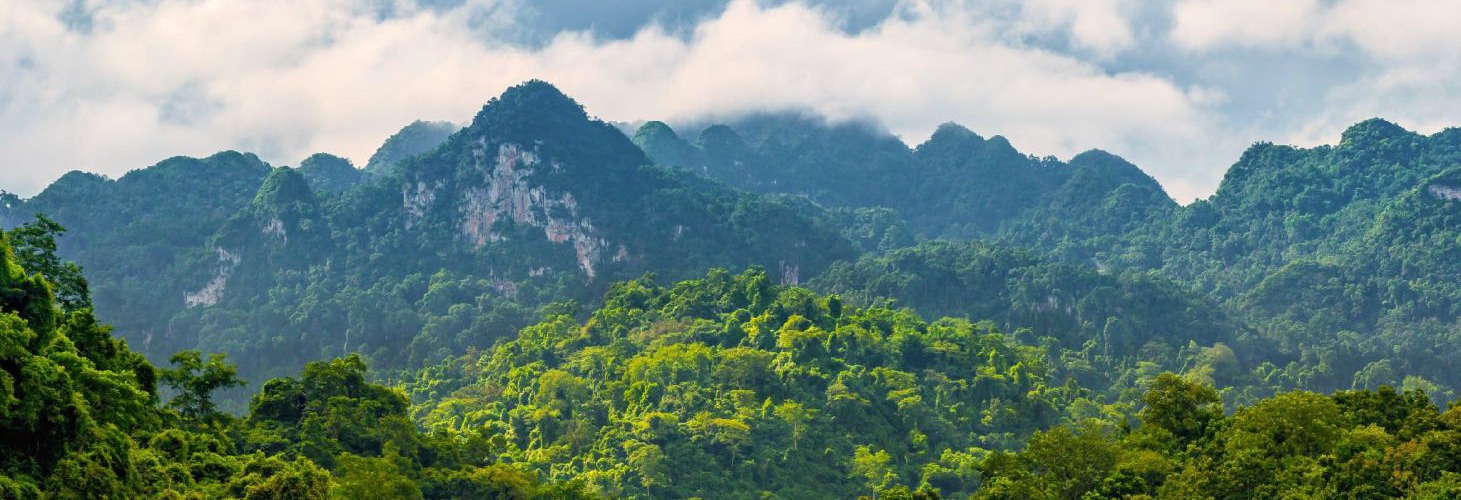 Water Asia International Pvt. Ltd.